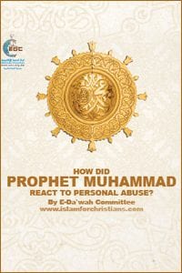 How Did Muhammad React to Personal Abuse? (E-Book)